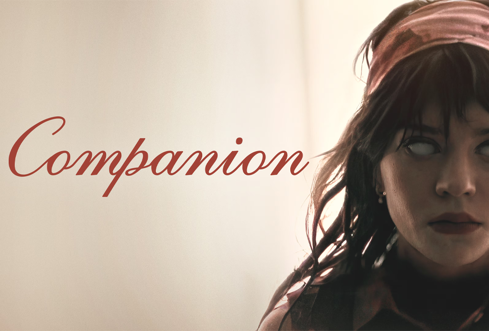 companion